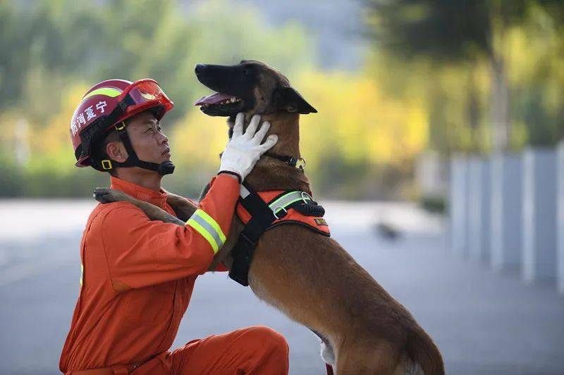 AYX体育赛事-宁夏队面对四川队，必须全力以赴的简单介绍